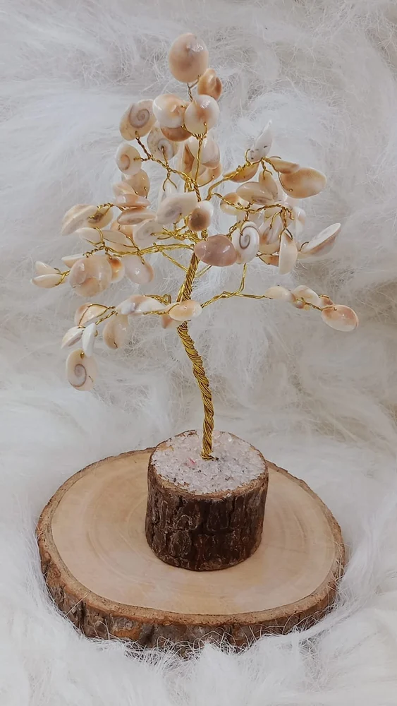 Gomti Chakra Tree